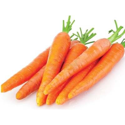 Морковь молодая 1 кг - купить в Варнях