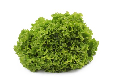 Салат романо 1 кг - купить в Варнях